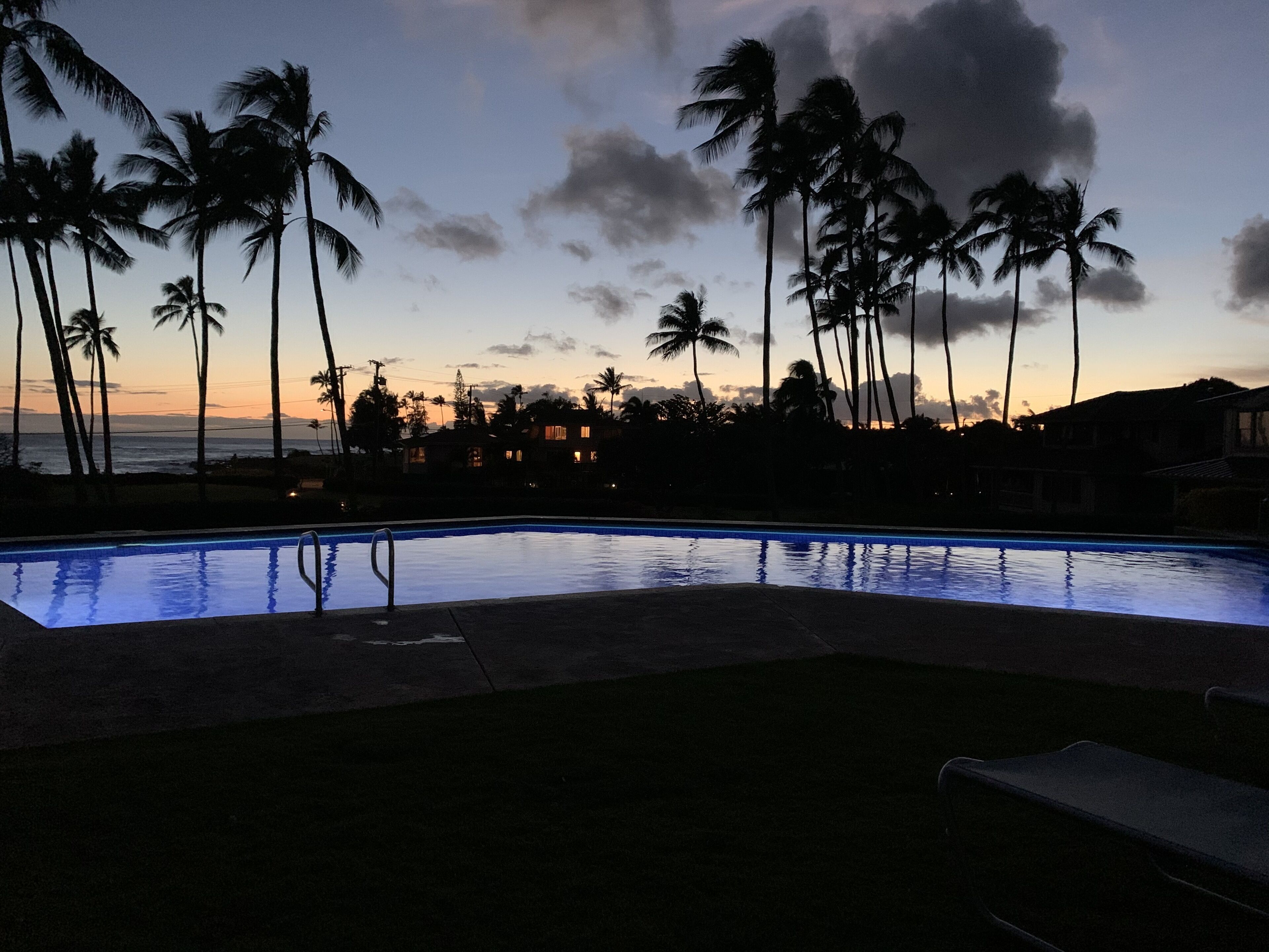 Une piscine avec vue sur l’océan et les palmiers, au crépuscule.