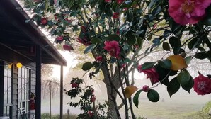 A building with a covered outdoor area, a wooden deck, and a view of a body of water in the background. - Acheron Valley Country Estate (Acheron)