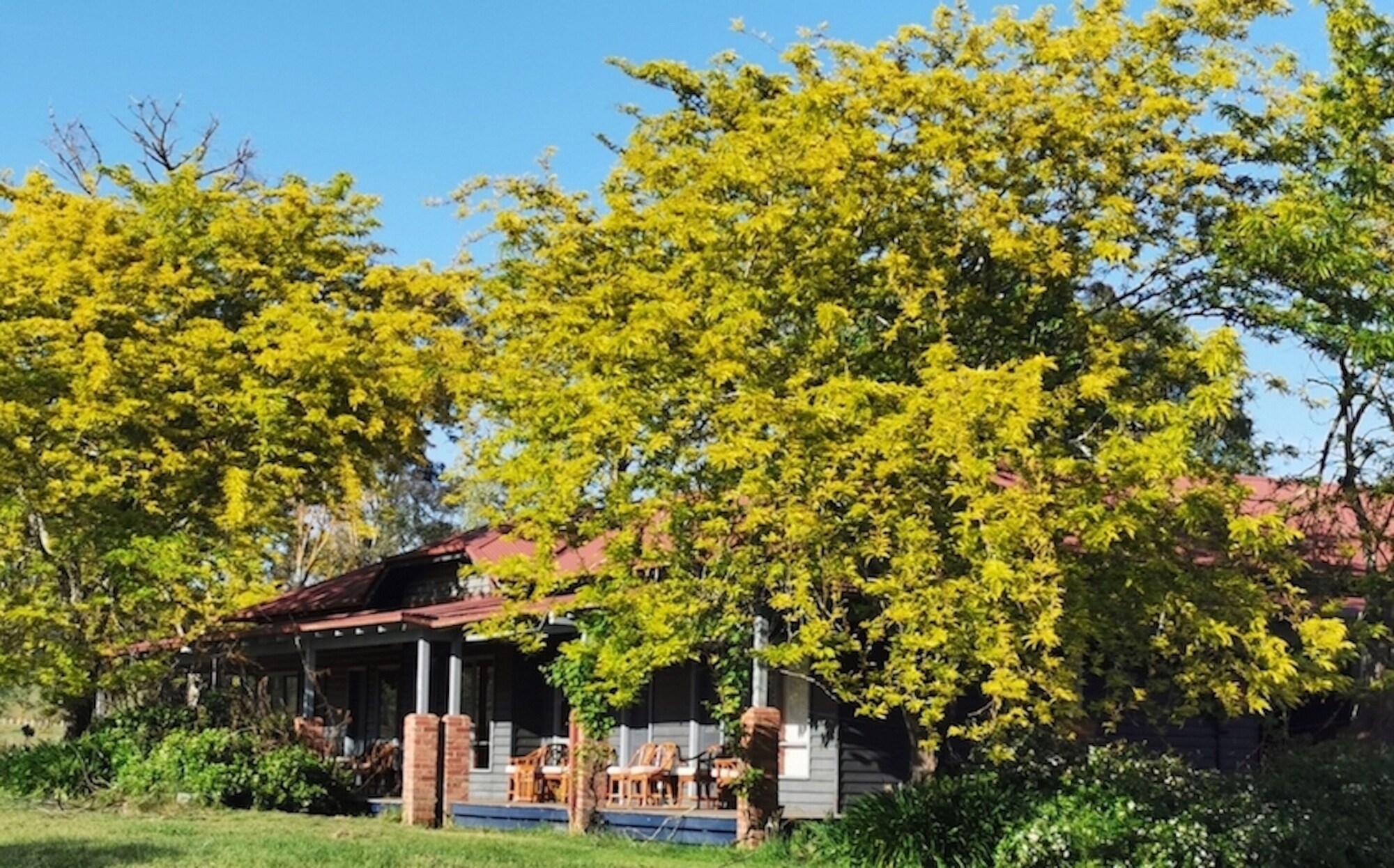 فنادق بتصنيف نجوم (2)