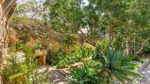 Un jardín con diversas plantas y un muro de piedra.
