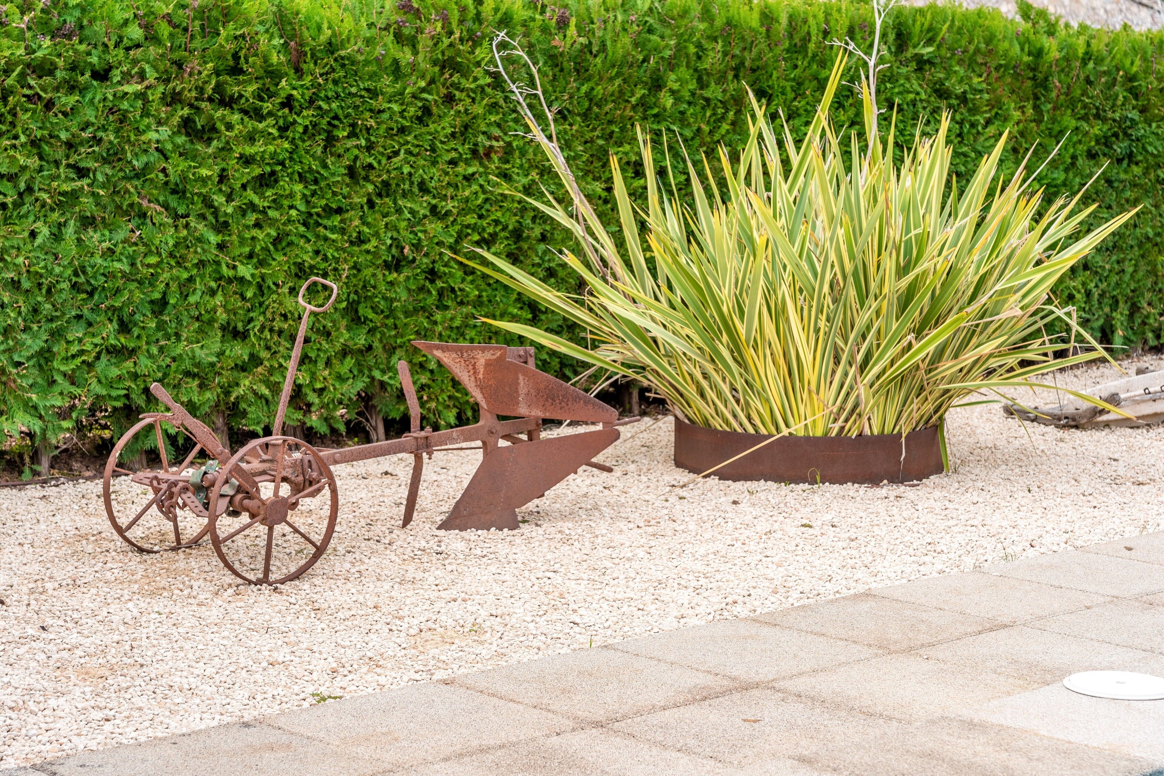 A garden with a metal wheelbarrow and a planter with tall plants.
