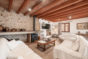 Télévision, cheminée, table de tennis de table, chaîne hi-fi