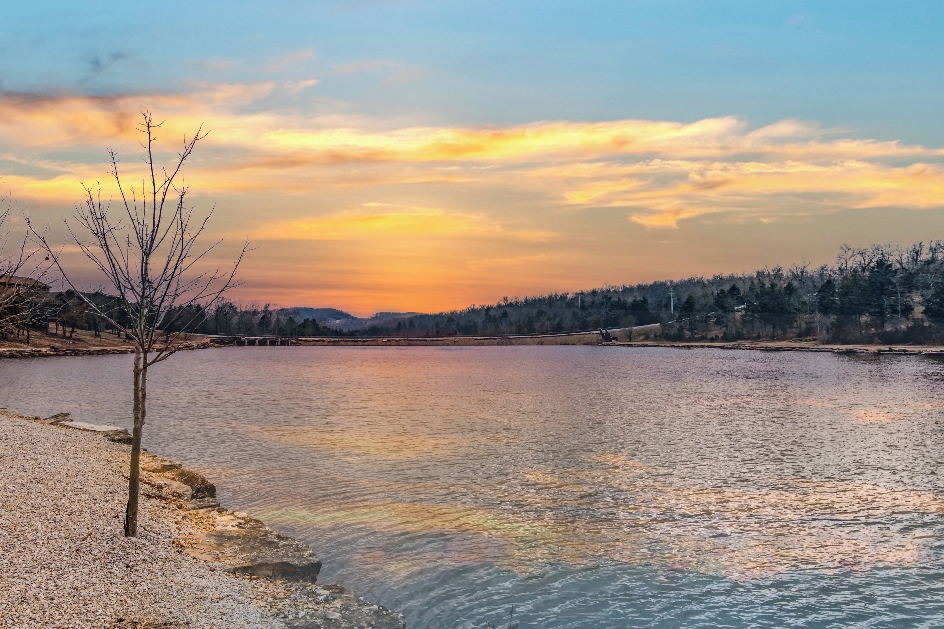 A serene lakeside view with a clear sky and a single tree in the foreground.