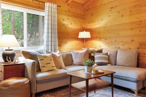 TV connectée, cheminée, livres, espaces bureaux