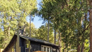 A cabin with a wooden staircase leading to a deck, surrounded by tall trees.