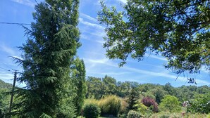 Un rigoglioso giardino con diverse piante e alberi, un cielo sereno e un’auto parcheggiata nelle vicinanze.