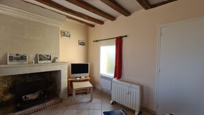 Un salon avec une cheminée, un téléviseur et un radiateur.