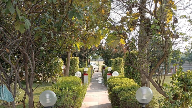 A pathway flanked by trimmed hedges and lamp posts, leading to a building in the distance. - Achal's जंगल में मंगल (Gurugram)