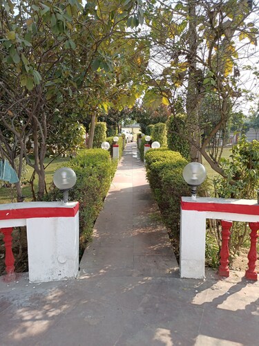 Achal's जंगल में मंगल