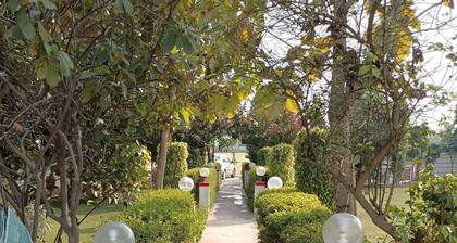 Achal's जंगल में मंगल