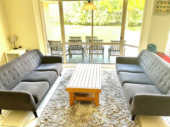 Smart TV, fireplace, DVD player, books