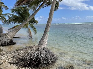 Plage, chaises longues, serviettes de plage