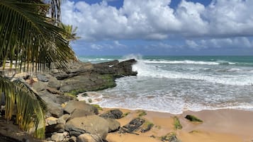 En la playa, camastros y toallas de playa