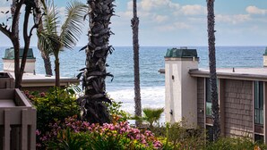 A coastal view with palm trees and a building with a green roof. - Coastal One-Bedroom Haven with Ocean Peeks and Serene Gardens (Oceanside)