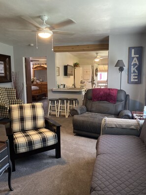 Smart TV, DVD player, books, video library