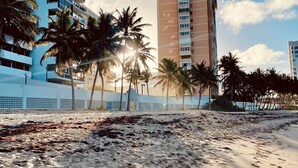 A beach with sand and palm trees, and tall buildings in the background. - Oceanfront on 17th Floor in Condado (San Juan)