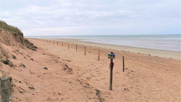 A sandy beach with a wooden fence and a signpost.