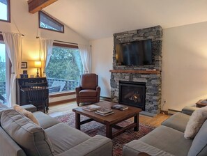 Smart TV, chimenea, libros