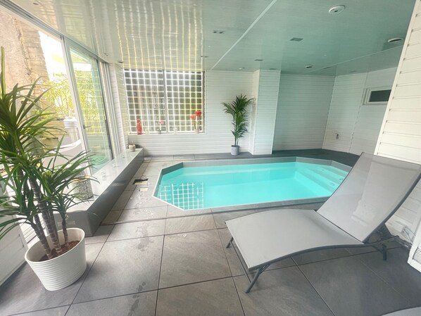 Una piscina interior moderna con vistas despejadas del entorno, incluyendo una planta en maceta y un ventanal iluminado por el sol.