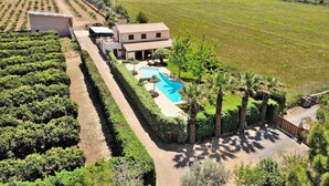 Una villa con piscina, rodeada de setos cuidados y palmeras, con un viñedo al fondo.