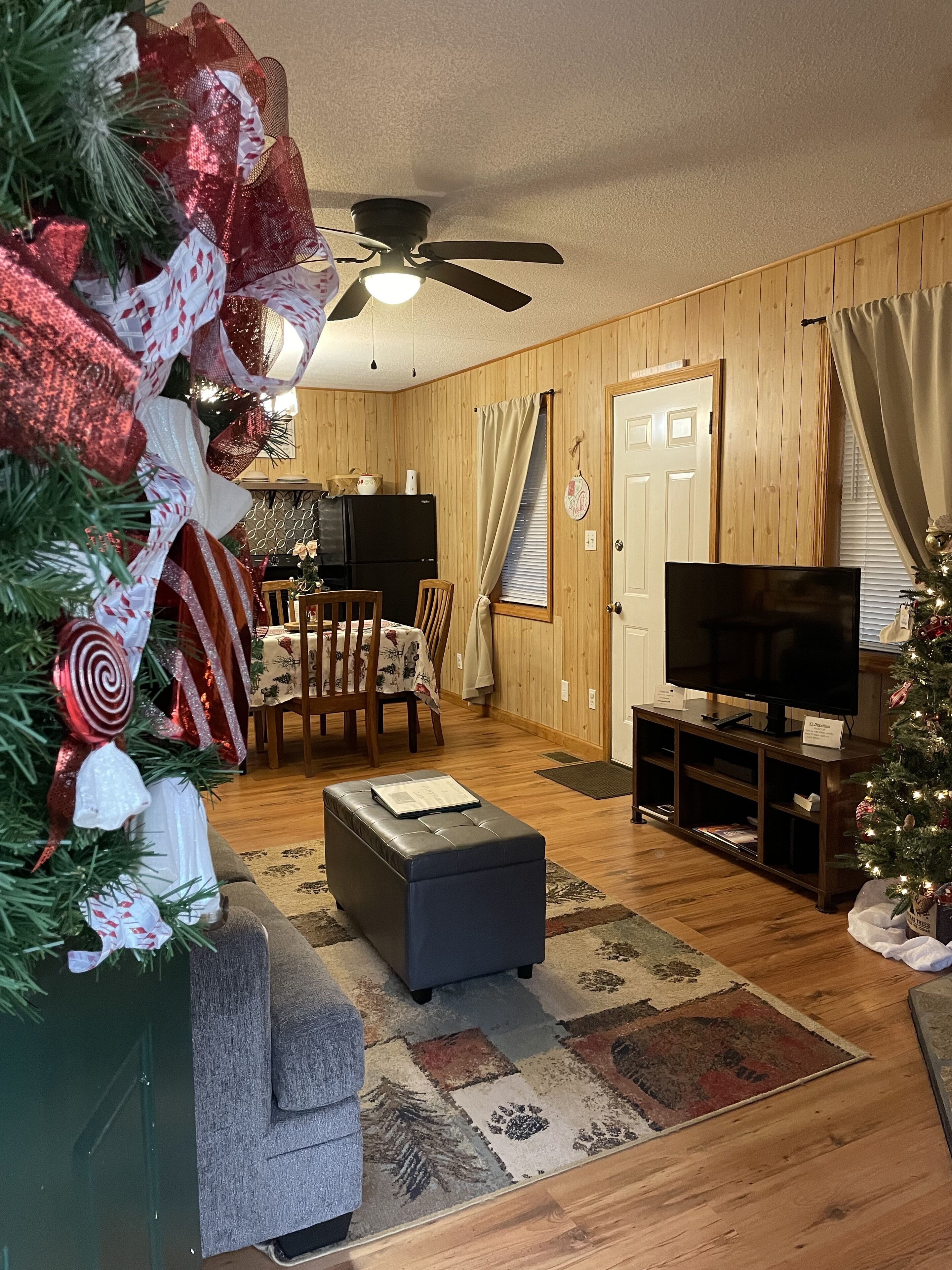 Smart TV, DVD player, books