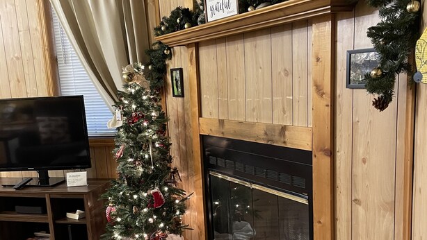 A cozy living room with a fireplace, a Christmas tree, and a television. - 1 Playful Cub-GREAT unbelievable rates, check it out (Cosby)