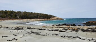 Isle Be Back