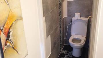 Ensemble douche/baignoire, sĂšche-cheveux, bidet, serviettes fournies