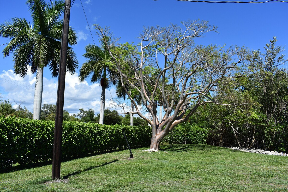 Photo 21 of Come enjoy paradise on Isles of Capri in Naples, FL for your next vacation!