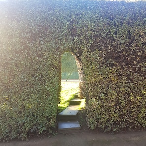 Through the beech hedge to village tennis court