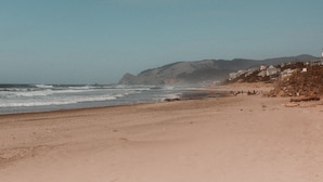 Une plage avec une falaise rocheuse et des maisons en arrière-plan.