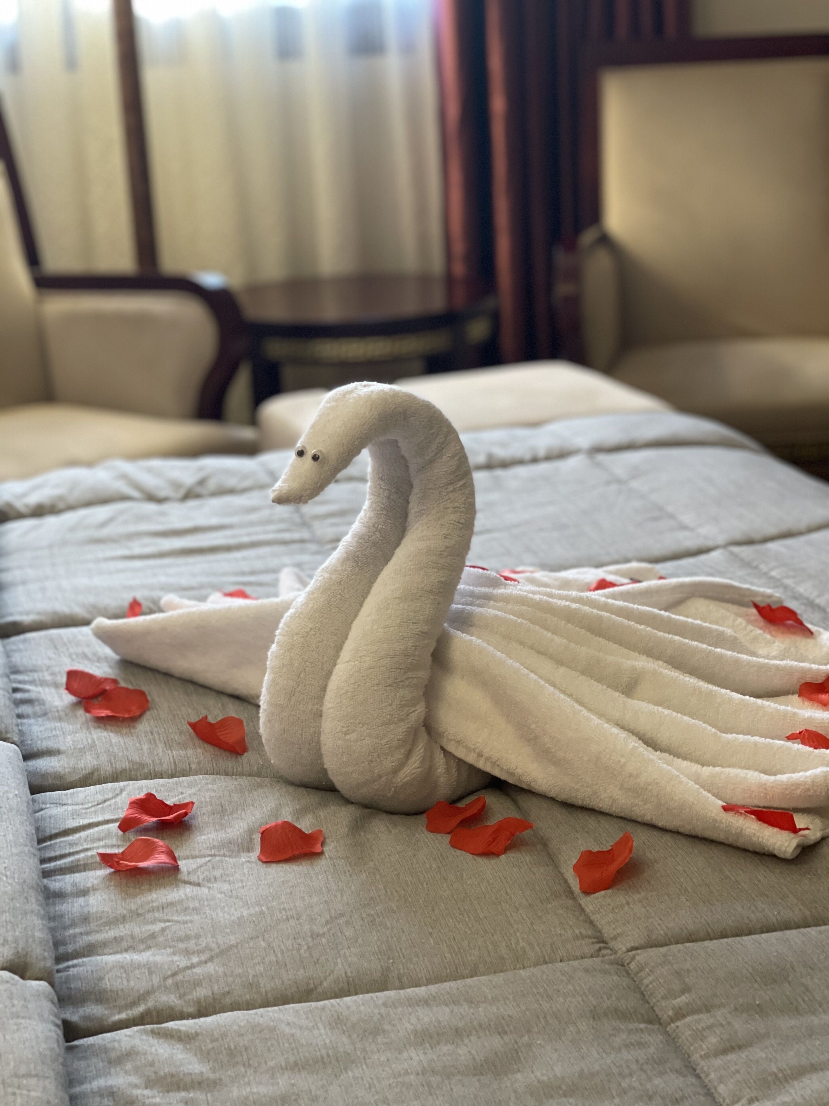 Una toalla con forma de cisne sobre una cama con pétalos de rosa roja esparcidos.