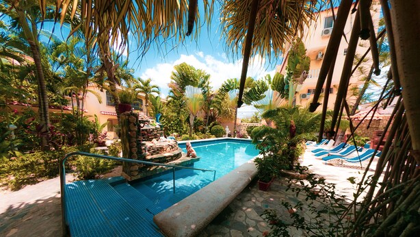 A pool area with a stone deck, lounge chairs, and tropical plants.