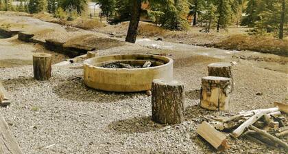 OPEN YEAR ROUND ON THE ALPINE LOOP - Lake San Cristobal - Nellie Gray #25