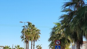 A street lined with parked cars and palm trees, a no-left-turn sign, and a pedestrian crossing sign. - Sea view holiday apartment (Torrevieja)
