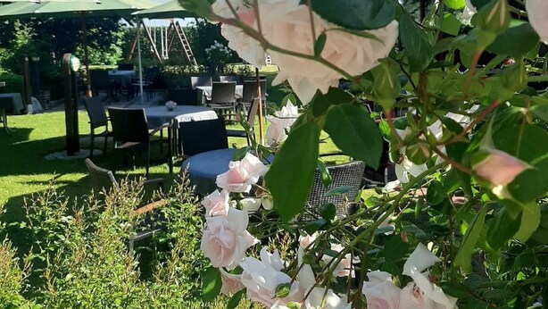 Un jardín con una mesa y sillas, rodeado de follaje y un rosal.