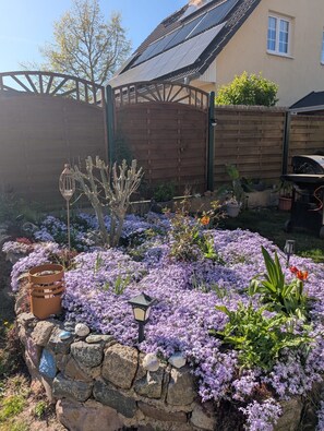 Property grounds - Bungalow bei Warnemünde - Bungalow (Elmenhorst-Lichtenhagen)