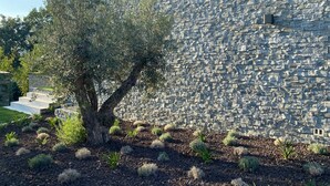Un muro de piedra con un árbol en primer plano.
