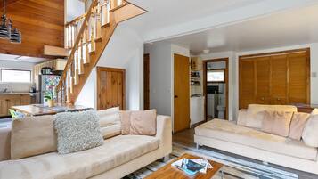 TV connectée, cheminée, livres, médiathèque