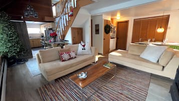 TV connectée, cheminée, livres, médiathÚque