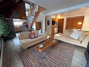 Smart TV, fireplace, books, music library