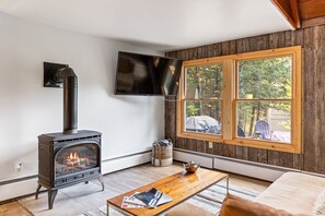 Smart TV, fireplace, books, music library