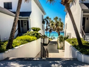 A pathway leading to a beach with white buildings and palm trees.