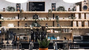 Un comptoir de café avec un tableau affichant le menu, des machines à café et une plante en pot.