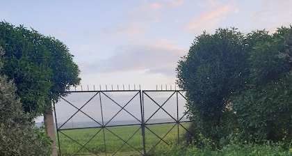Guest farm les collines de benslimane