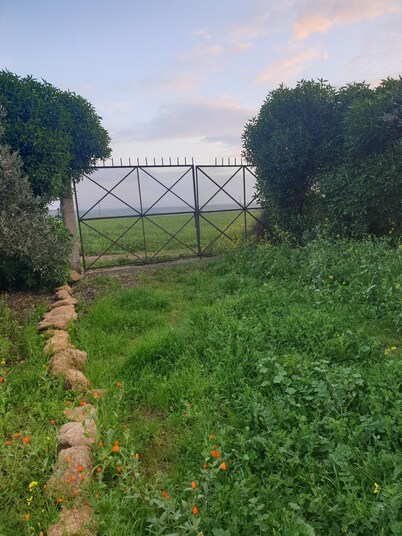 Guest farm les collines de benslimane