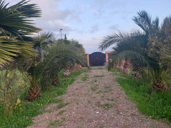 Overnattingsstedets uteområder