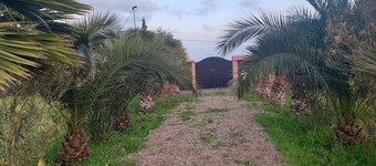 Guest farm les collines de benslimane