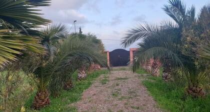 Guest farm les collines de benslimane