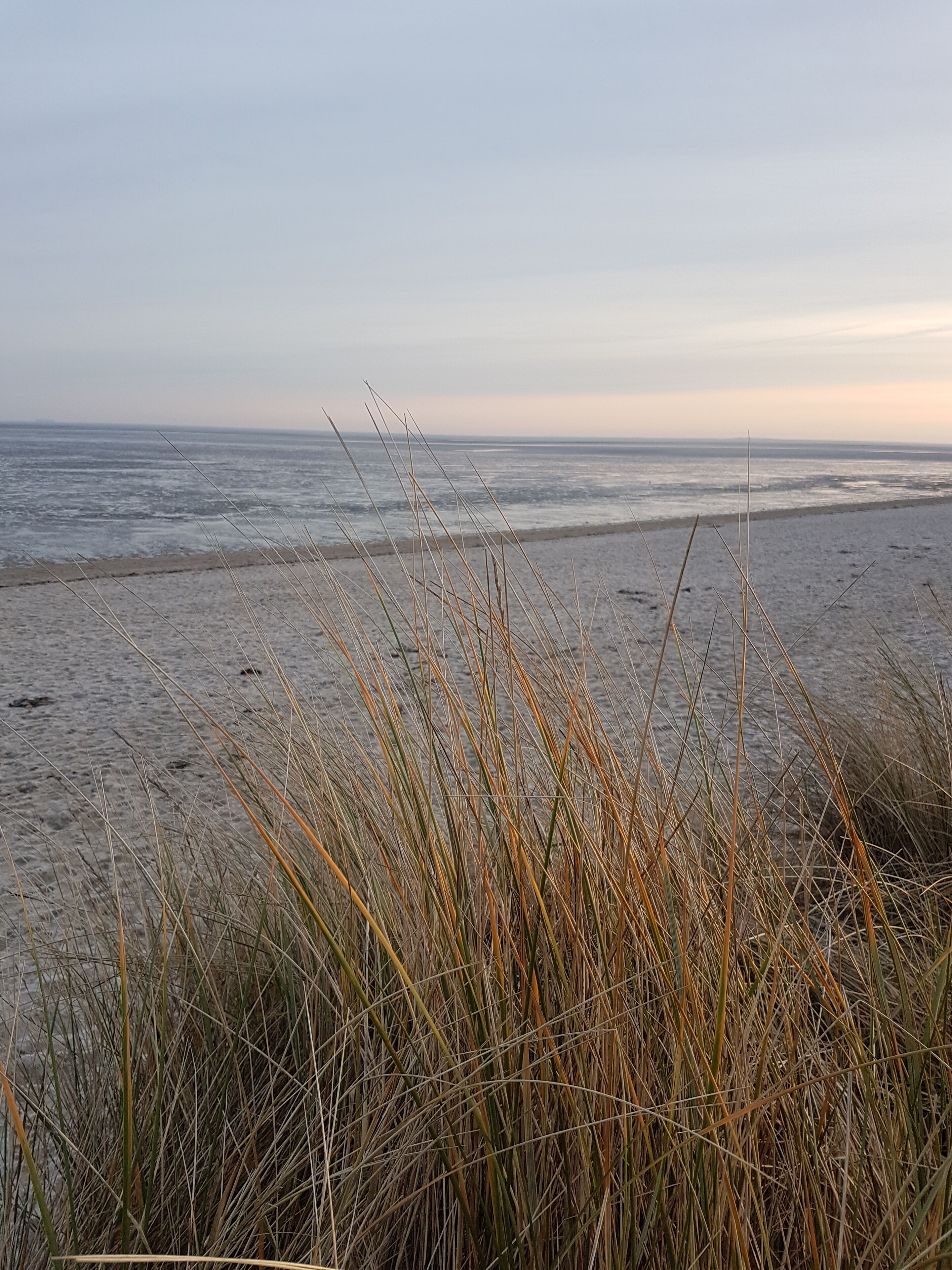 Nära stranden och solstolar